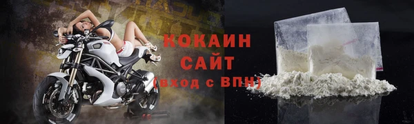 PSILOCYBIN Заводоуковск