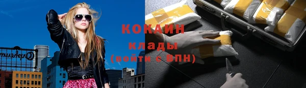 PSILOCYBIN Заводоуковск