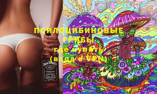 PSILOCYBIN Заводоуковск