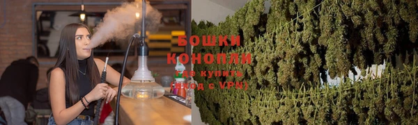 PSILOCYBIN Заводоуковск