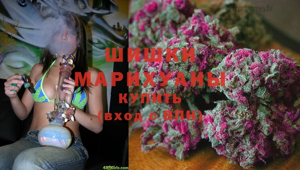 PSILOCYBIN Заводоуковск